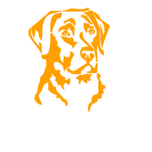      -   75 .