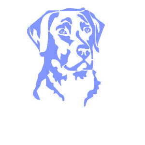      -   75 .