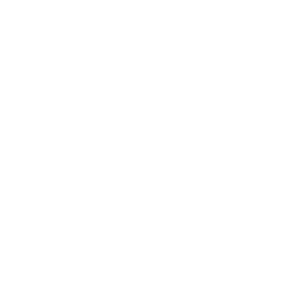     -   161 .