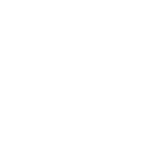        -   161 .