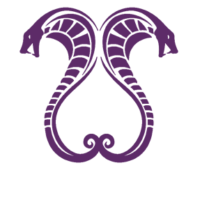      2  -   141 .