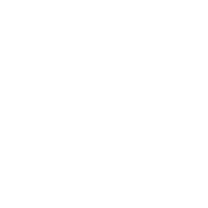      2  -   141 .