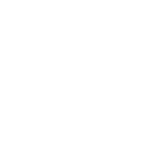        -   161 .