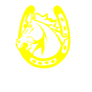         -   133 .