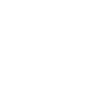         -   133 .