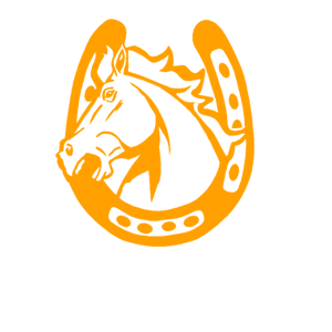         -   133 .