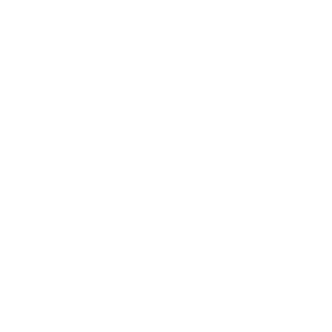       (diesel) -   65 .