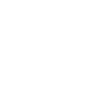       (diesel) -   65 .