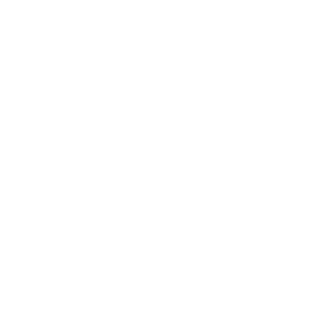 ����������� �� ����������� ����� �������� �������� � ������ - ������ �� 133 ���.