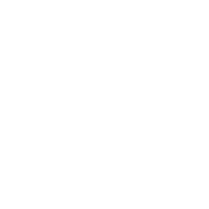          -   161 .