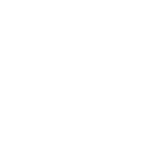        (Pavlovskiy Posad) -   133 .