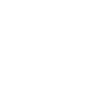       (Kingisepp) -   133 .