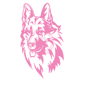       -   98 .