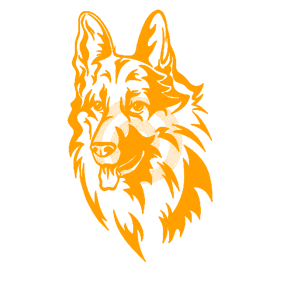       -   98 .