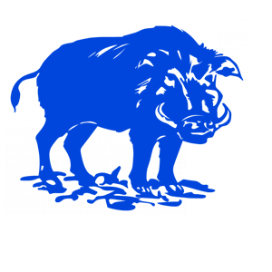       -   151 .