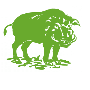    -   -   151 .