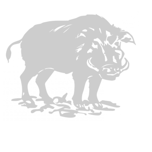    -   -   151 .