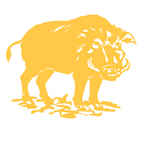       -   151 .