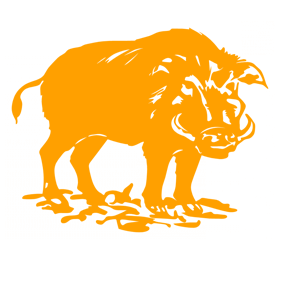       -   151 .