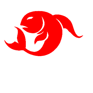        -  -   50 .