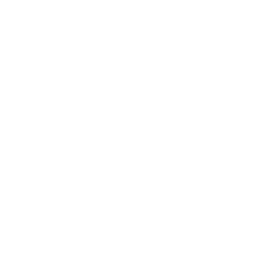        -  -   133 .