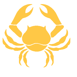 ����������� �� ����������� ������� �������� ����� ������� - ��� - ������ �� 37 ���.