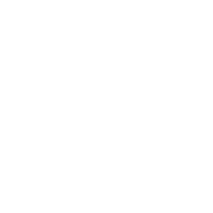         -   161 .