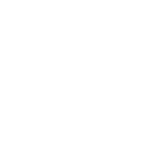          -   216 .