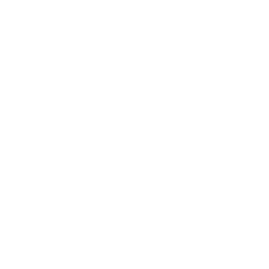        -   133 .