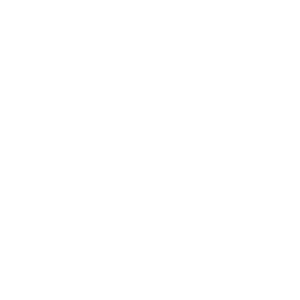   BMW -   65 .