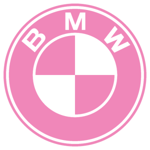    BMW -   65 .