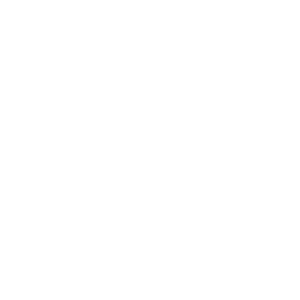       BMW -   65 .