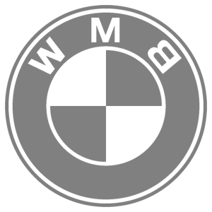       BMW -   65 .