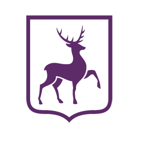         -   131 .