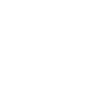      Automobile -   112 .