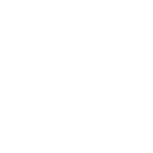         -   161 .