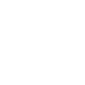         -   133 .