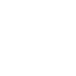      Focus Club -   106 .
