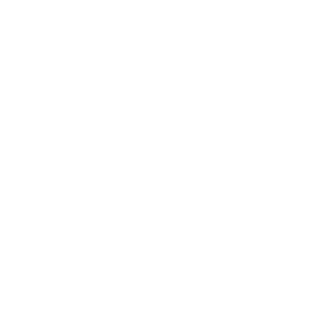       (postman) -   141 .