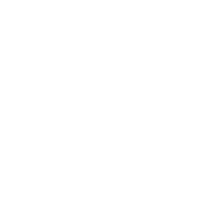      Lada Priora -   102 .