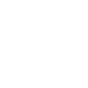         -  -   100 .