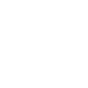         -   133 .
