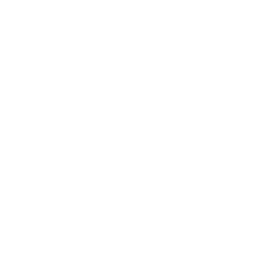      Racing Flag -   80 .