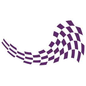      Racing Flag -   171 .