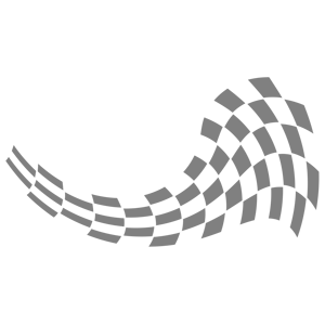 ����������� �� ����������� ����� �������� �Racing Flag� - ������ �� 171 ���.