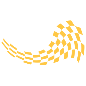      Racing Flag -   171 .