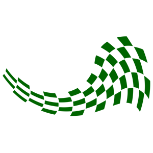 ����������� �� ����������� ������� �������� �Racing Flag� - ������ �� 171 ���.