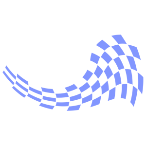      Racing Flag -   171 .