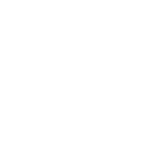  Racing Flag