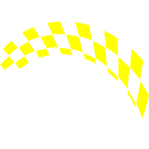      Racing Flag -   163 .